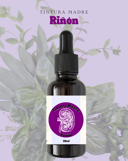 Tintura Madre Vías Urinarias (Riñón) 30ml 1pz