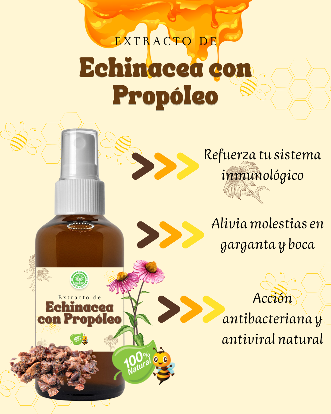 Extracto De Propóleo Con Equinácea 1pz 50ml.