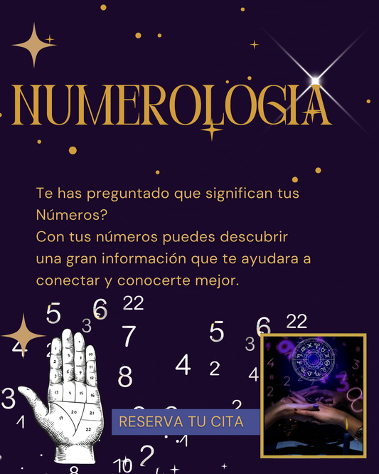Estudio Numerologico